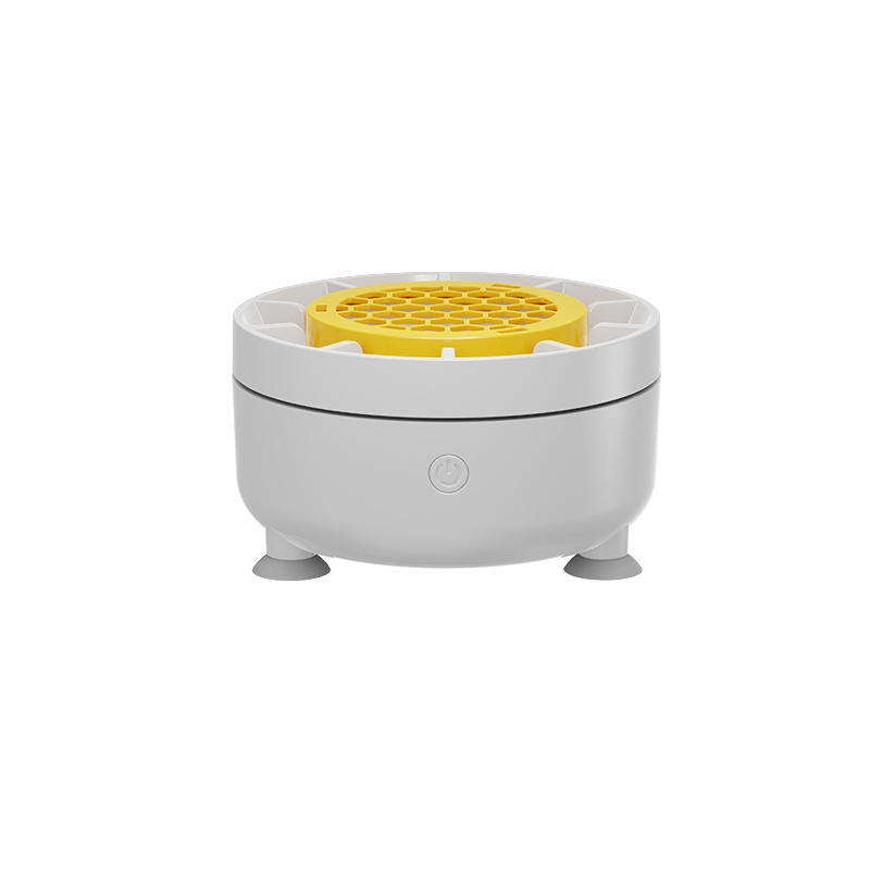 Umweltfreundliche Ozon-Reinigungsmaschine für Obst und Gemüse